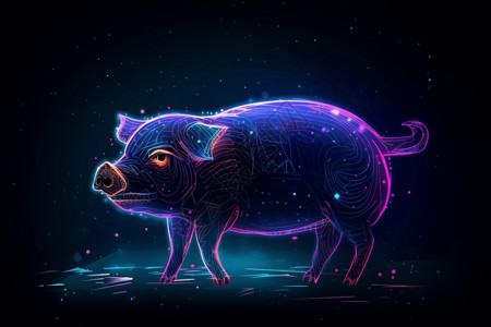 有星相的奇幻猪背景图片