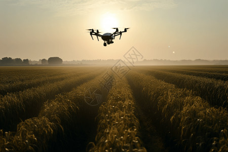 无人机喷洒农药背景图片