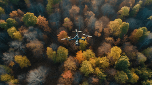 搜救犬无人机树木的航空图像背景