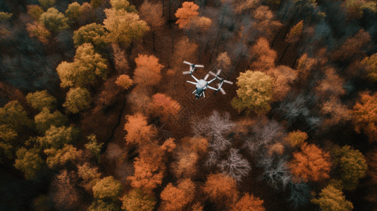 搜救树木的航空图像背景