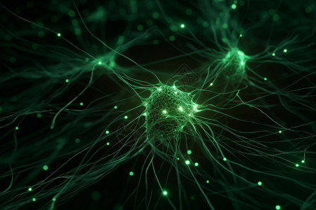 神经元放电脑神经元高清图片