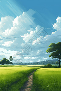 蓝天下的稻田背景图片