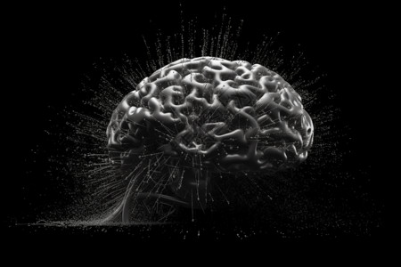 黑色人脑模型图片