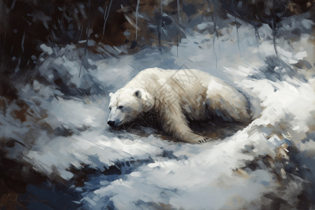 寒冷的北极熊图片