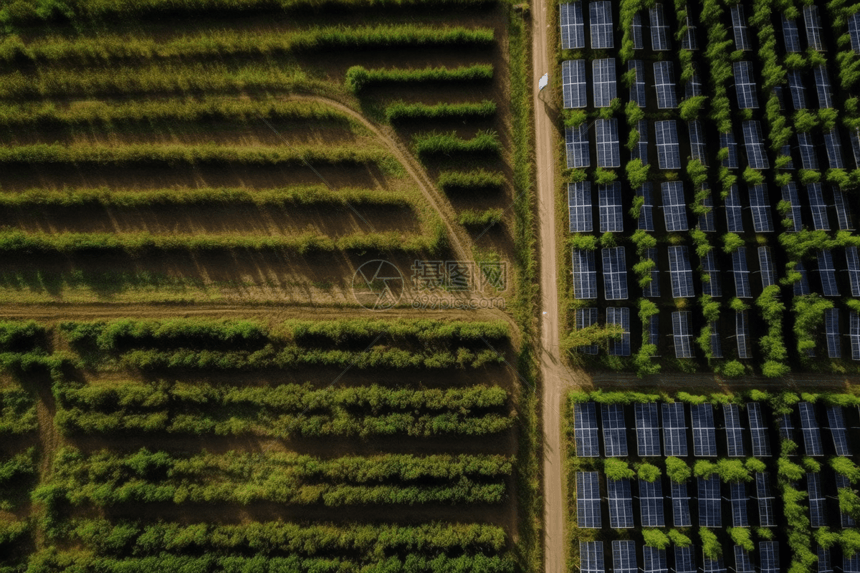 鸟瞰太阳能农场图片