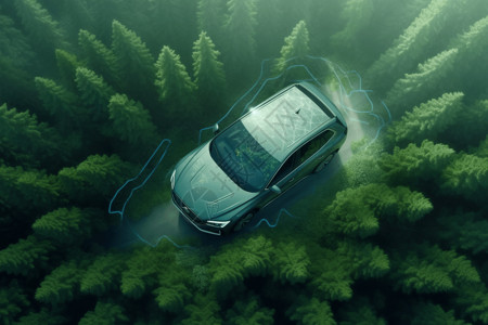 汽车在森林中图片