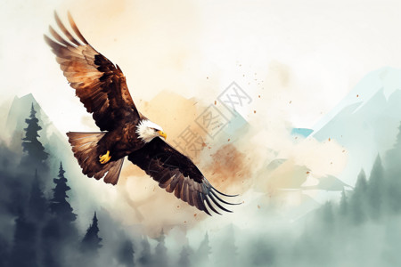 天空中翱翔的鸟天空中的老鹰插画