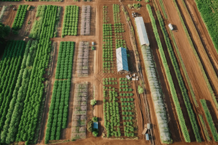 带有自动灌溉的智能农场图片