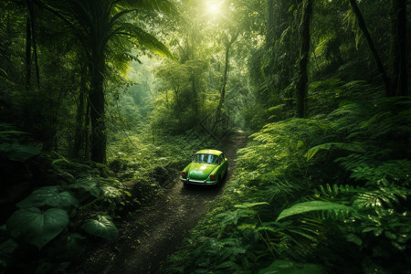 绿色汽车穿过丛林小径图片