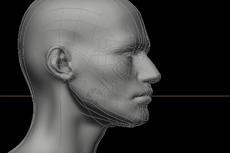人类头部3D模型背景图片
