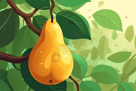 黄色梨子在树枝上的插画图片