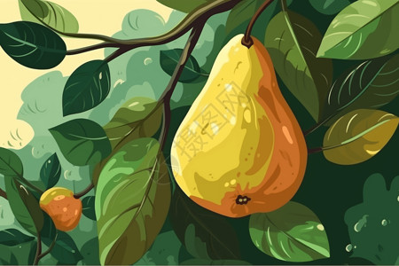 果园黄色梨子插图图片