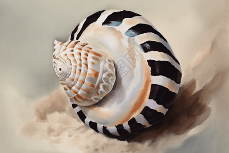海螺油画图片