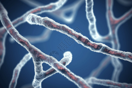 基因染色体背景图片