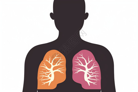 人类健康肺人类图标插画