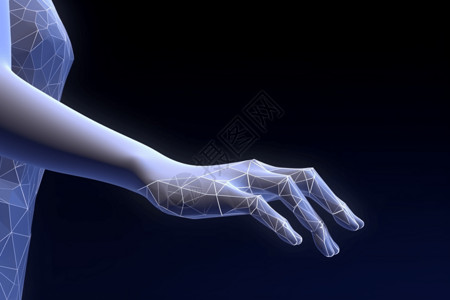 质感3D模型手臂图片