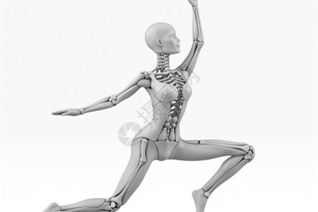 人体骨骼模型人体医学模型插画