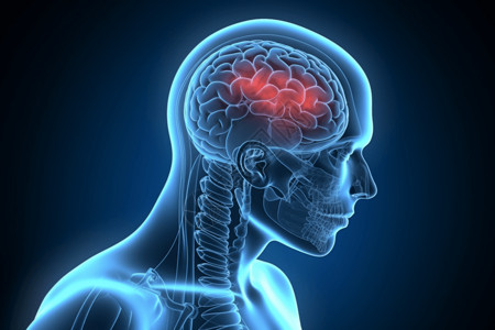 大脑神经元人脑医疗高清图片