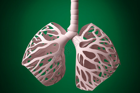 肺部模型素材肺部剖析图插画
