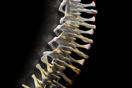 骨骼脊柱背景图片