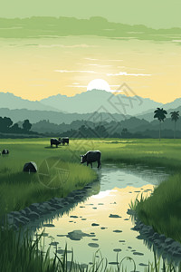广阔的稻田图片