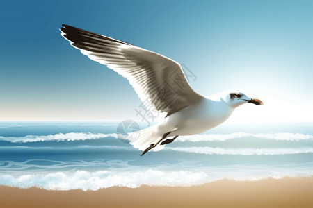 海鸥的水彩插图背景图片