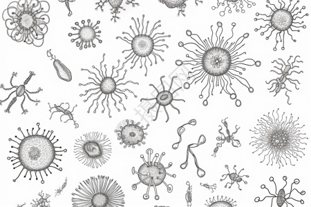细菌草图绘制背景图片