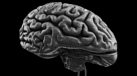 人类大脑概念3D概念图背景图片