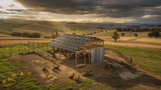 太阳能技术养鸡舍场景图片