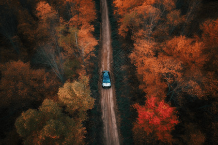 森林中的蓝色汽车图片