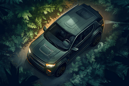 森林 俯视越野电动SUV俯视插图插画