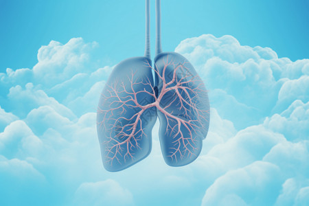 细支气管3d合成的肺部形状插画