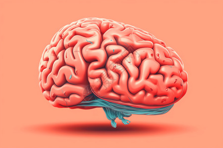 脑花3d大脑模型图插画
