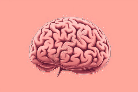 海马体大脑形状插画插画