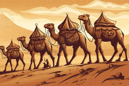 在行走骆驼背景图片