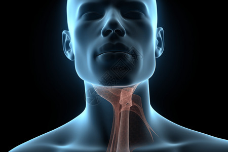人类呼吸系统背景图片