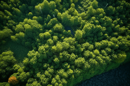 山水环绕绿色森林鸟瞰图设计图片