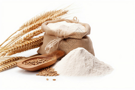 黑麦面粉白色背景上的面粉和黑麦作物背景