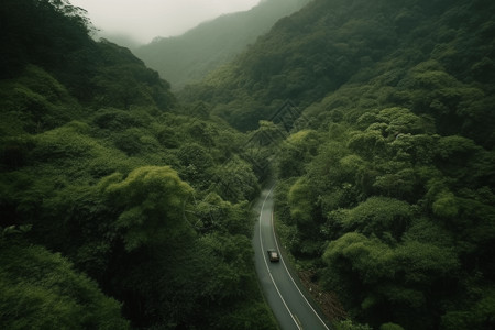 森林山路上行驶的汽车图片