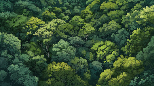 高大树木绿色森林里的树木插画