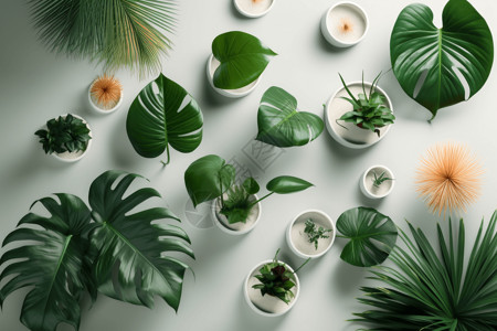 室内绿色植物盆栽3D模型图片