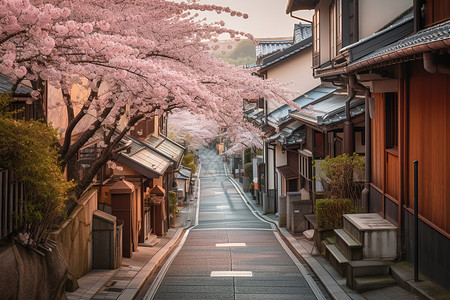街上美丽的樱花树图片
