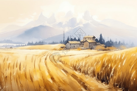成熟的麦子和宁静的村庄图片