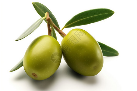 两个绿橄榄橄榄树枝高清图片
