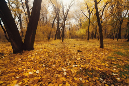 金黄粉饰的森林背景图片