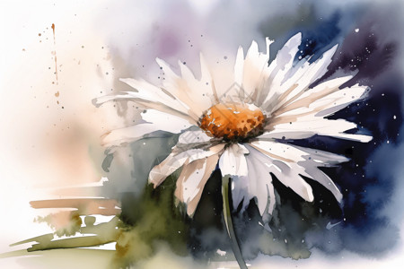 水彩画的浅色雏菊背景图片