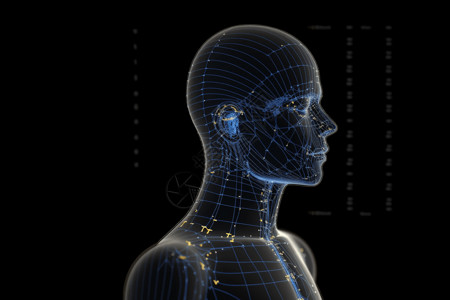 头部穴位图医学人体经络穴位设计图片