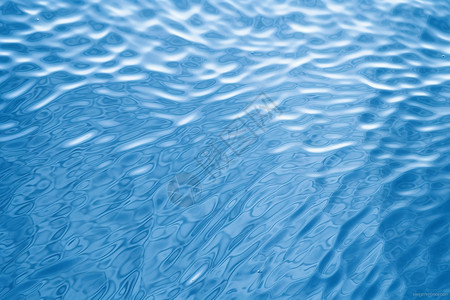 淡水虾米蓝色水波纹背景设计图片