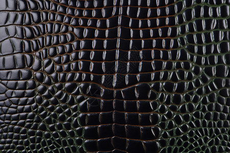 皮质材料鳄鱼皮纹理设计图片