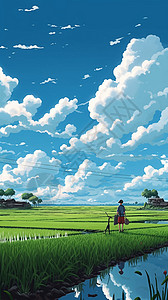 郊外清新的稻田背景图片
